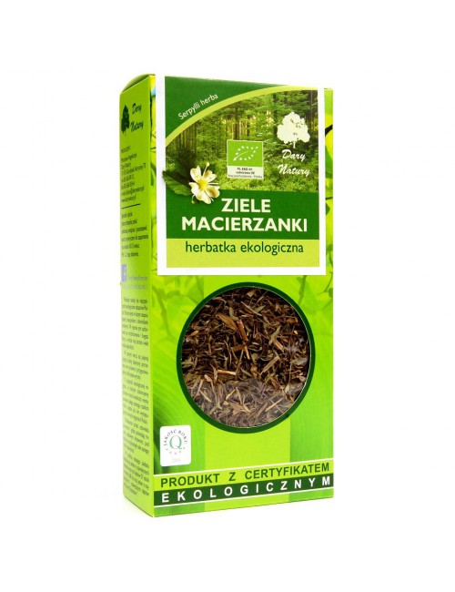 Macierzanka ziele EKO 25g Dary Natury