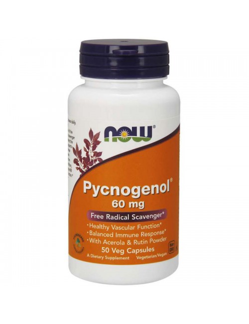 Pycnogenol z acerolą i rutyną 60mg 50kaps Now Foods