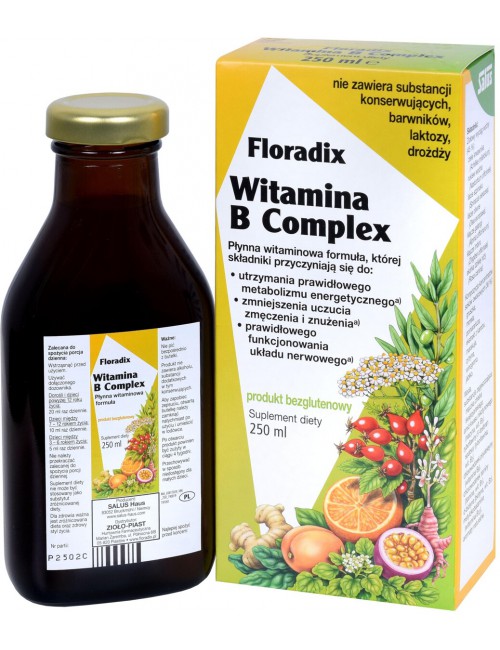 Witamina B Complex 250ml Floradix