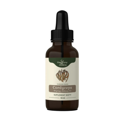 Cordyceps 1:1 nalewka 50ml Nanga